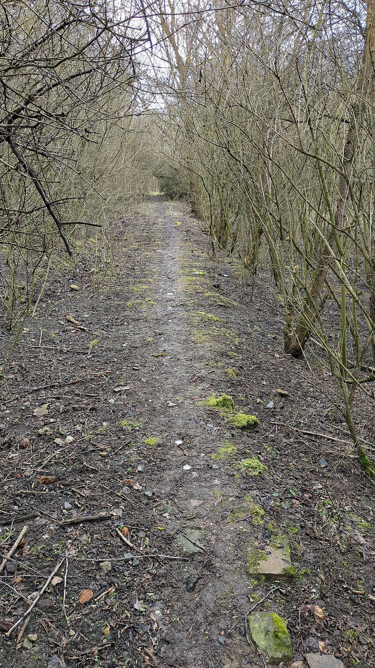 Ahrensfelder Berge – Bild 2