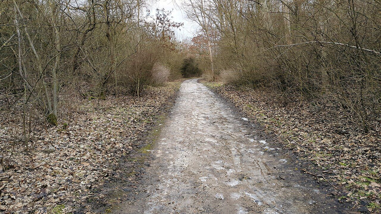Ahrensfelder Berge – Bild 3