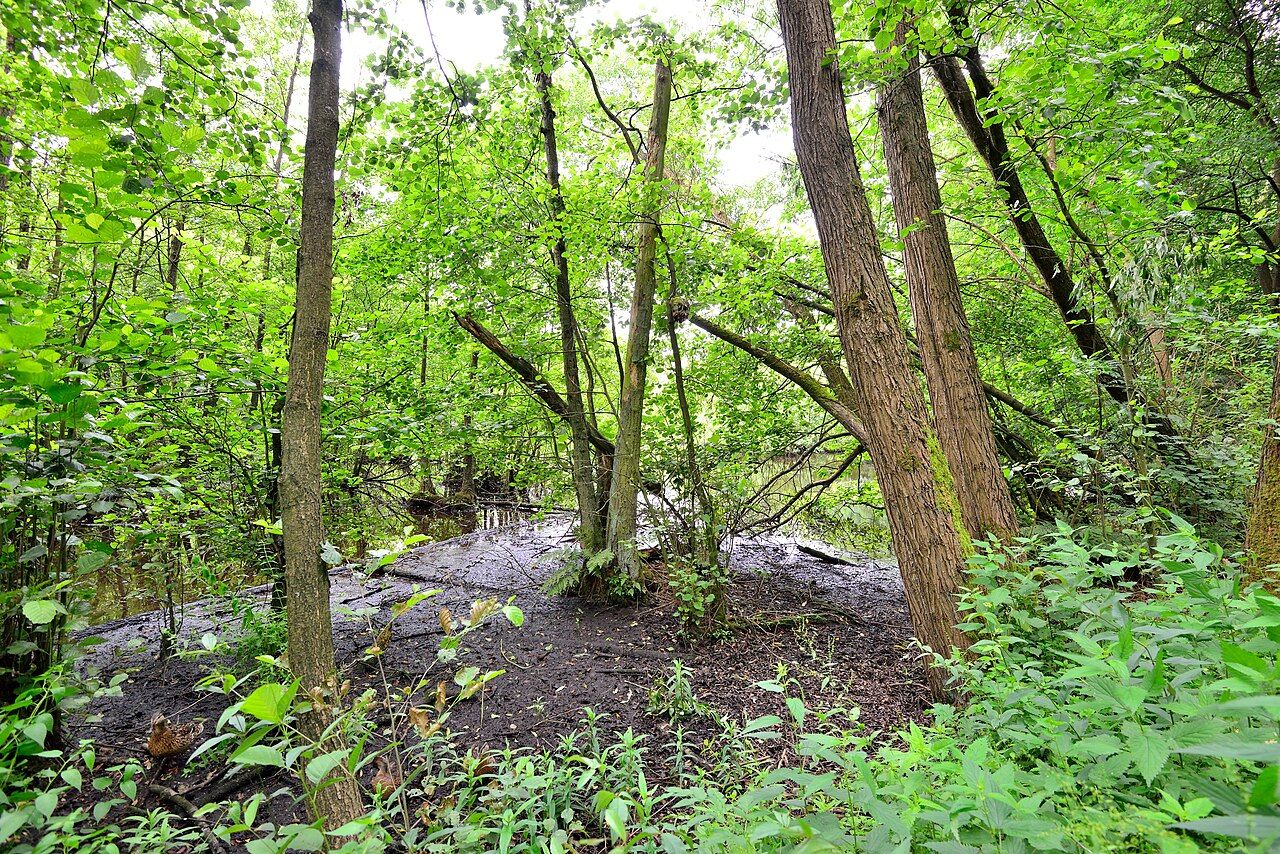 Alsterpark – Bild 2