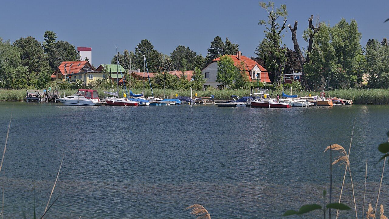 Alte Donau – Bild 2