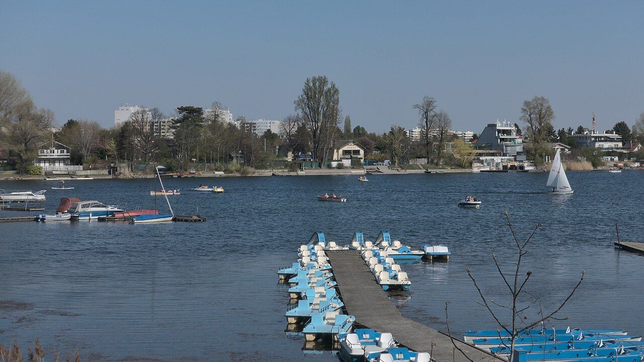 Alte Donau – Bild 3