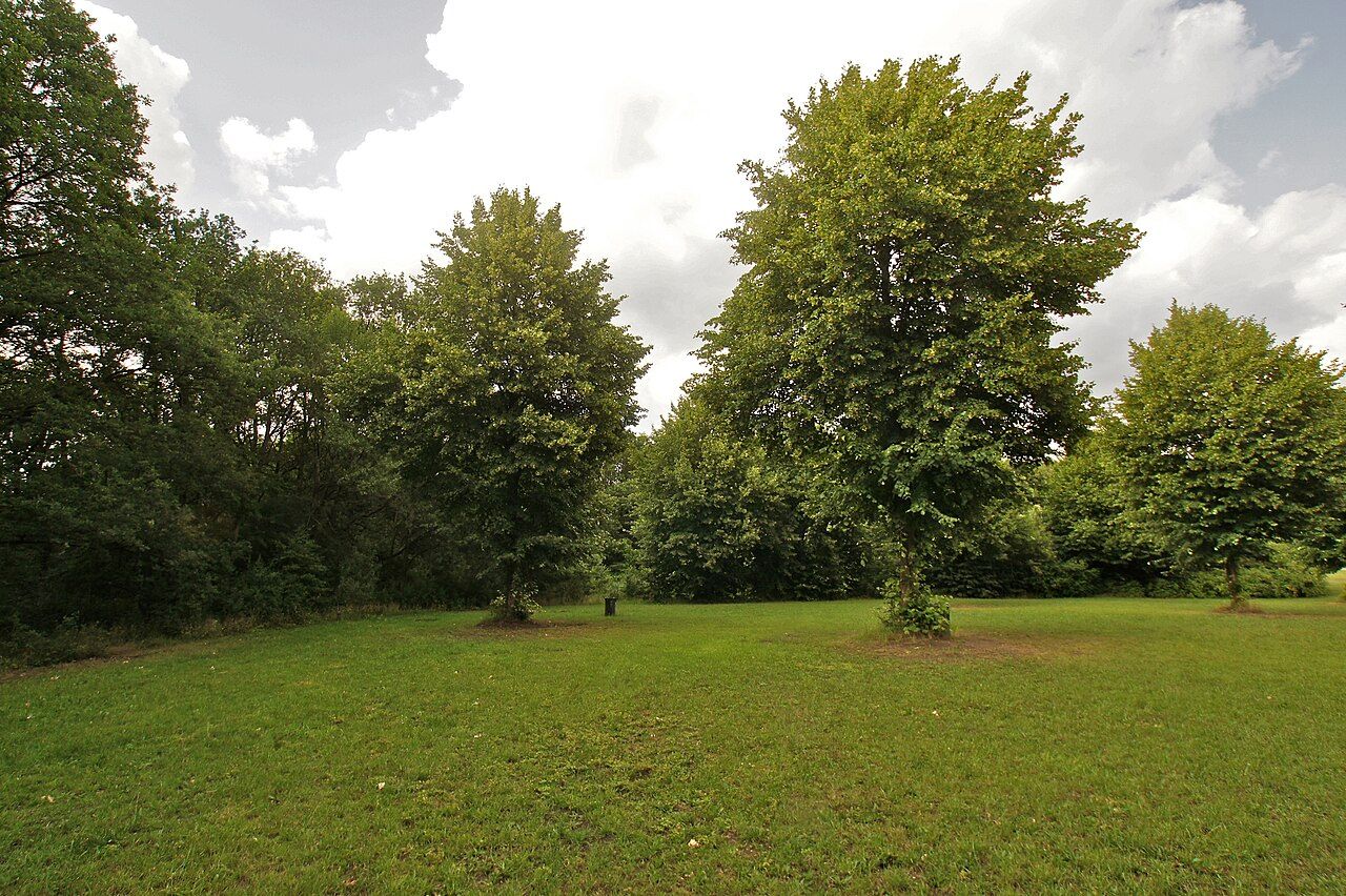 Altonaer Volkspark – Bild 2