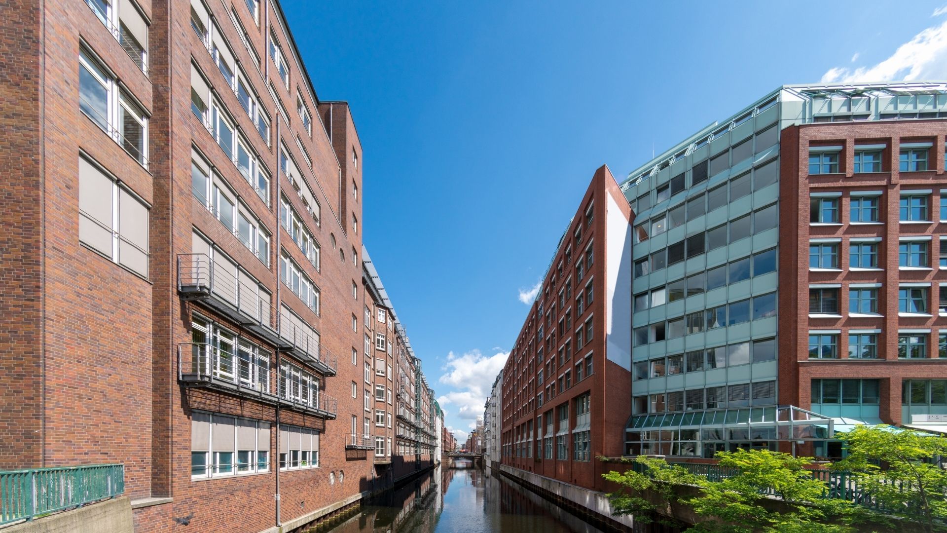 Baumwall – Bild 2