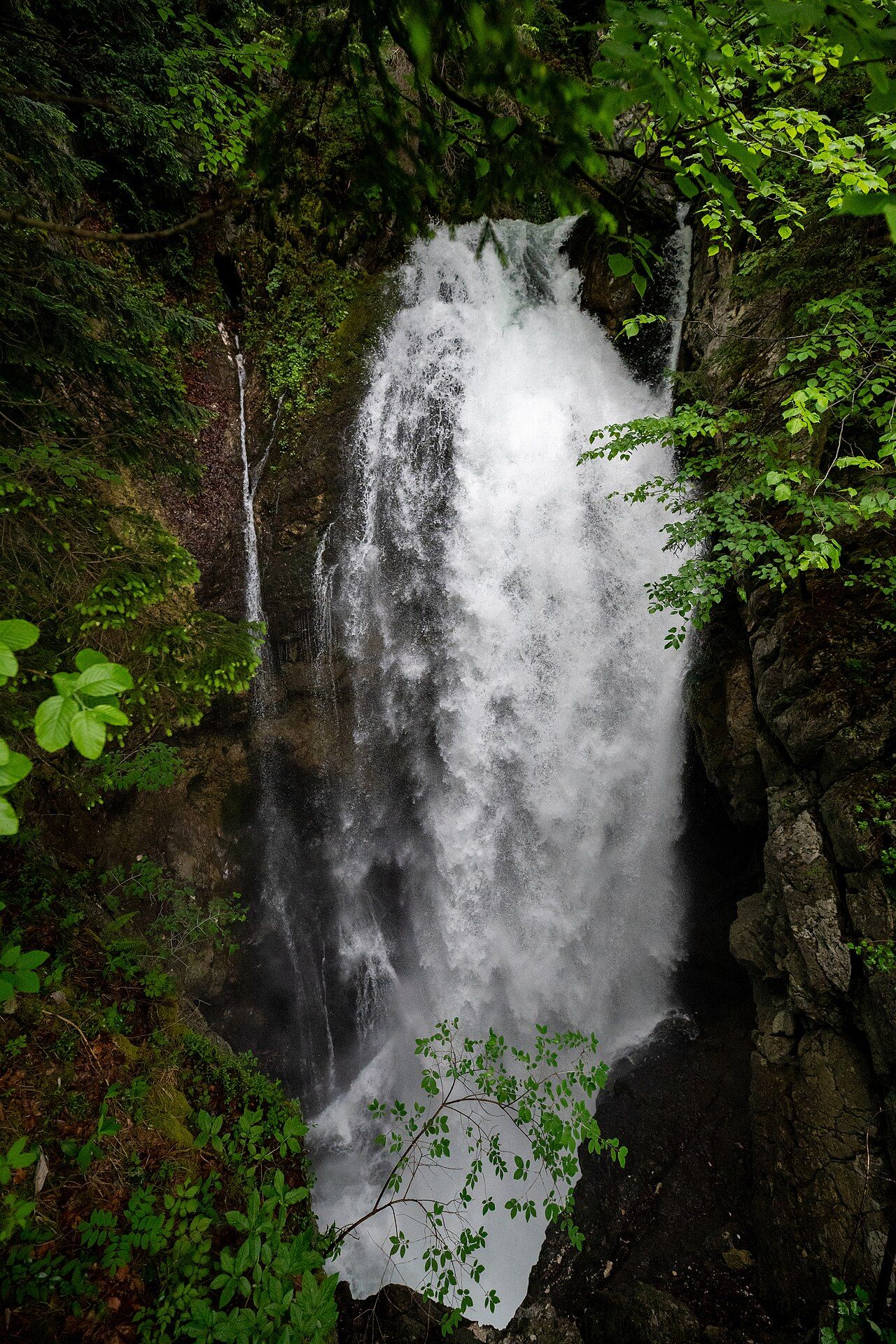 Gollinger Wasserfall – Bild 3