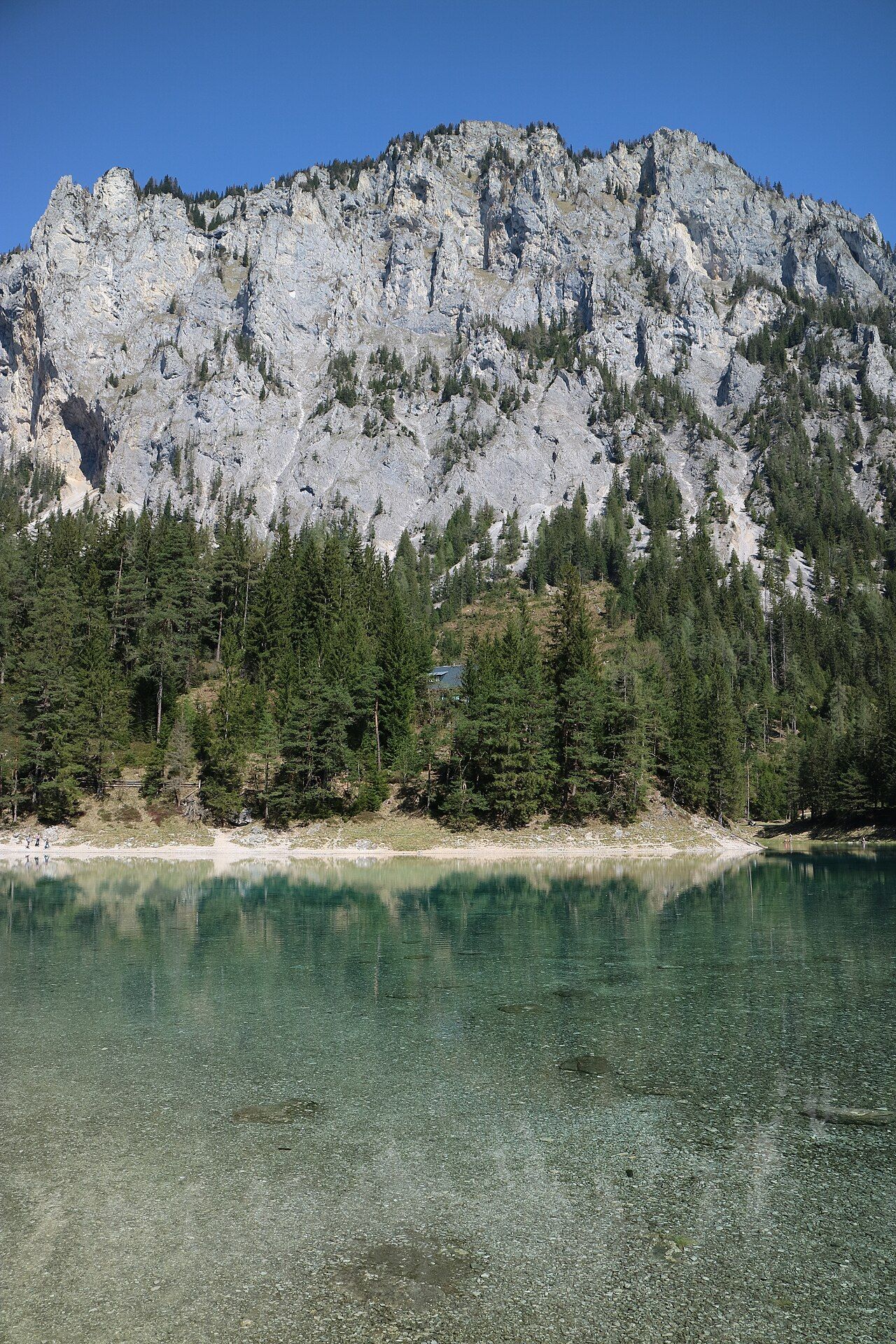 Grüner See – Bild 2