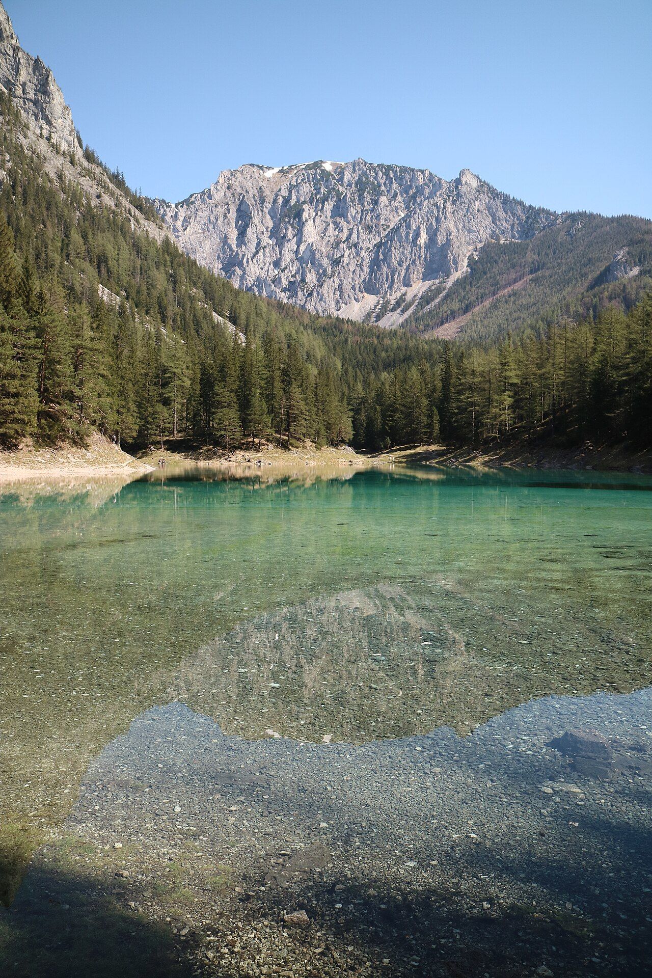 Grüner See – Bild 3