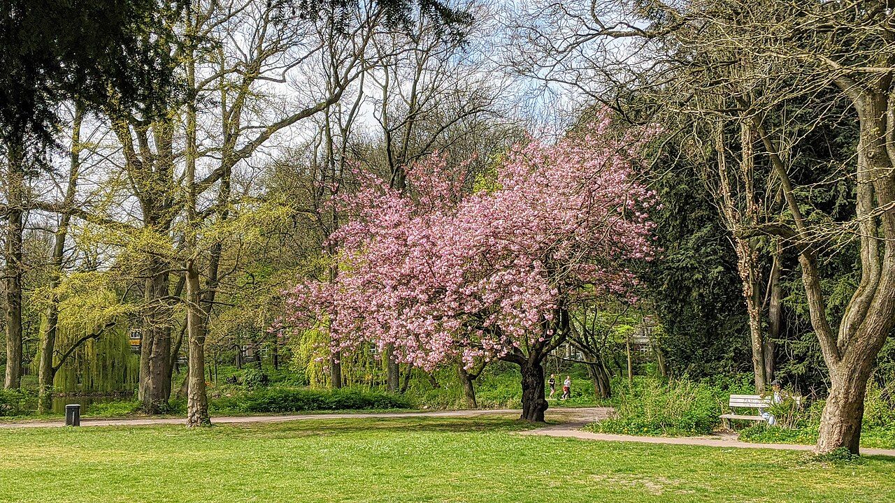 Hammer Park – Bild 2