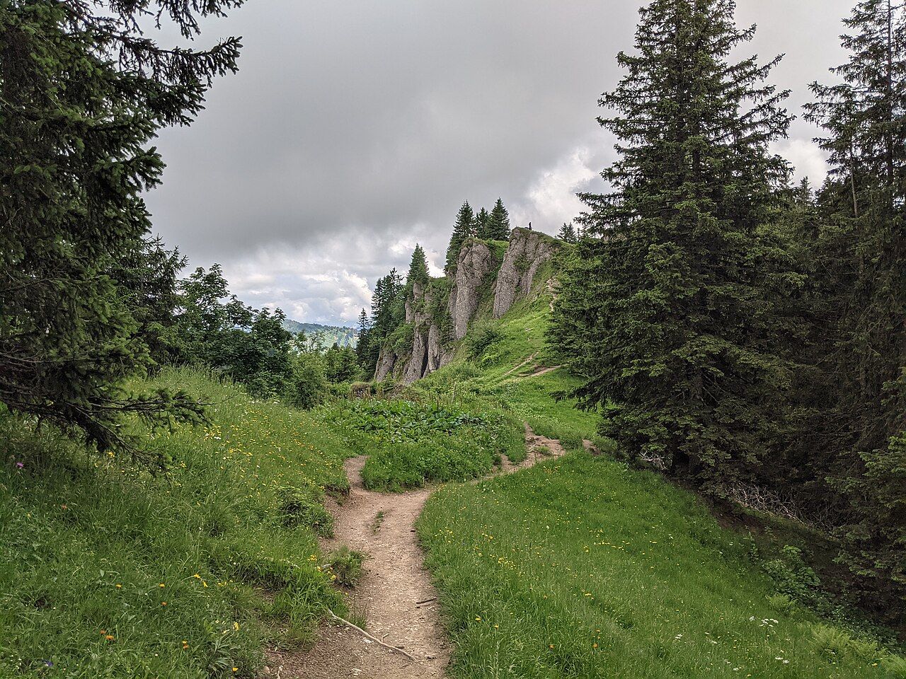 Hochgrat – Bild 3