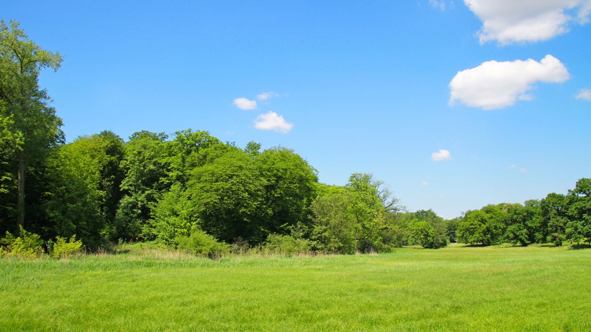 Jenischpark – Bild 2