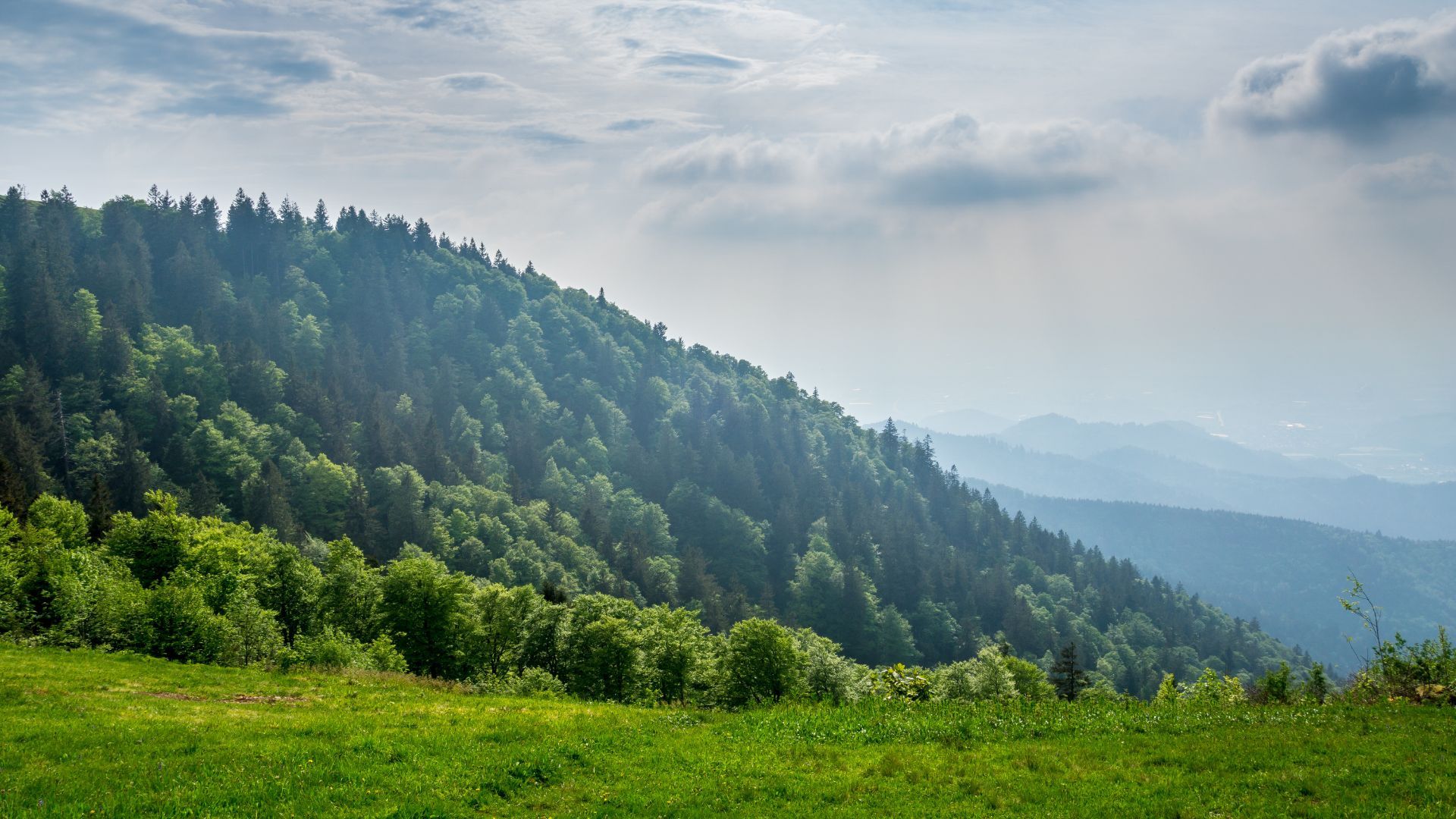 Kandel – Bild 3