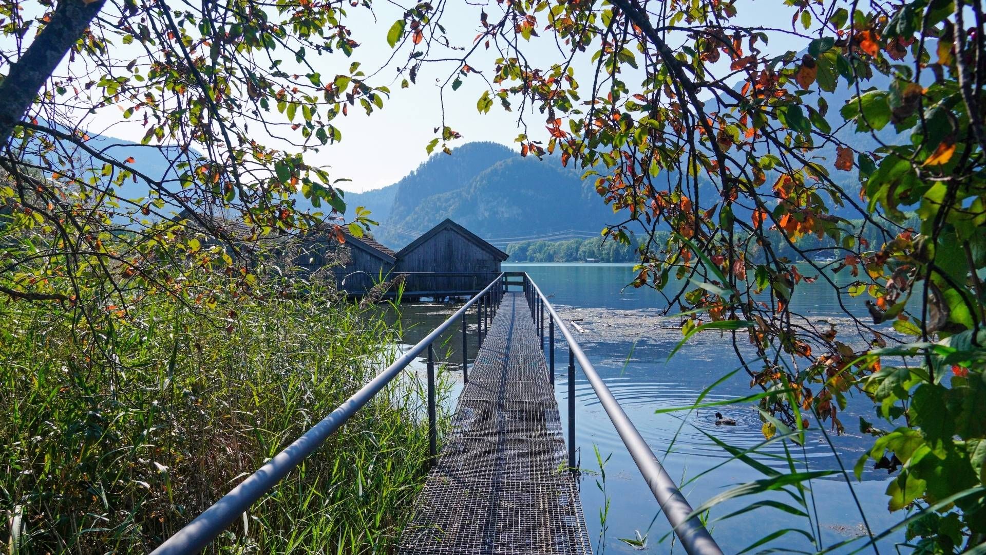 Kochelsee – Bild 3