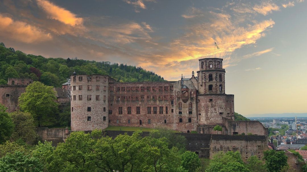 Museum Weißenfels im Schloss Neu-Augustusburg – Bild 2