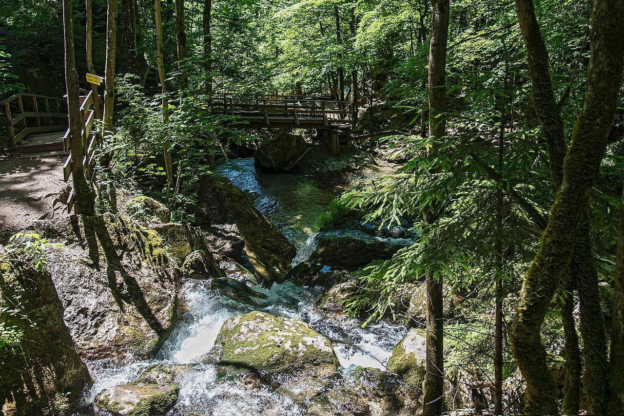 Myrafälle – Bild 3