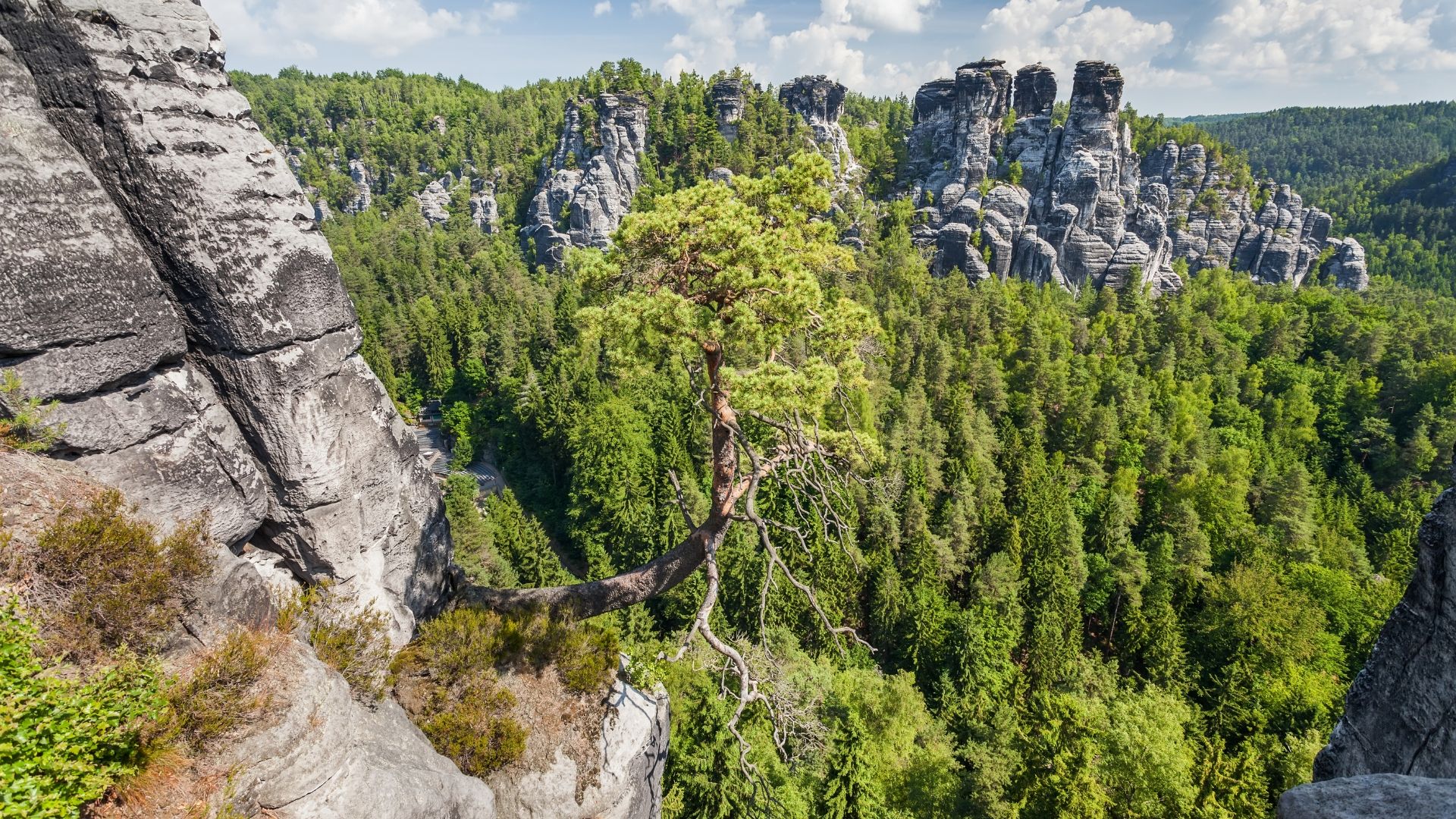 Nationalpark Sächsische Schweiz – Bild 2