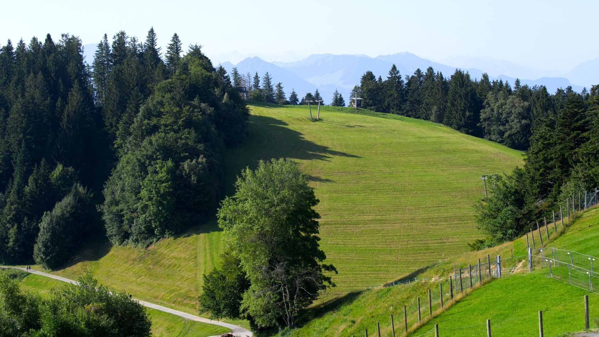 Pfänder – Bild 2