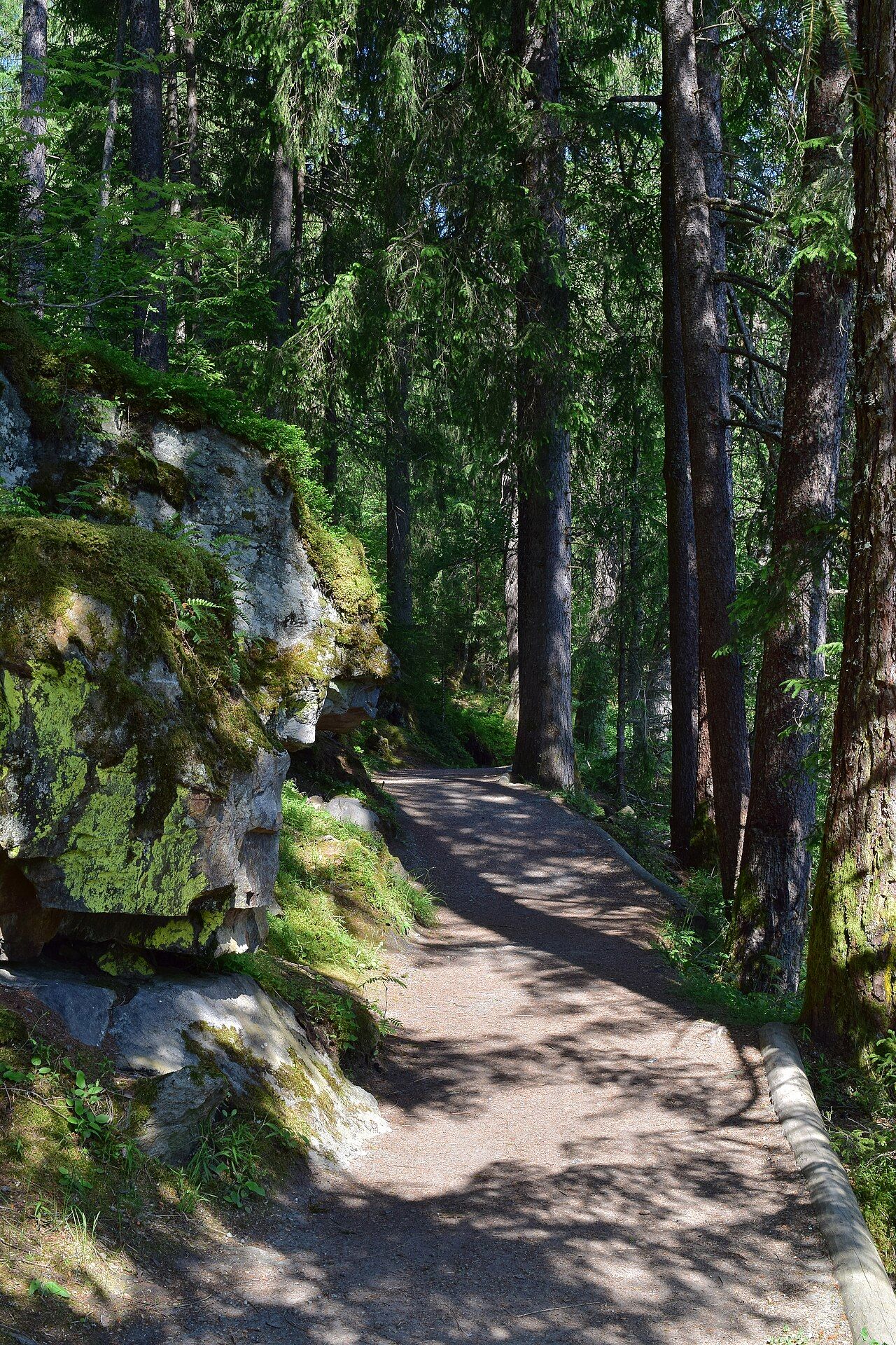 Piburger See – Bild 3