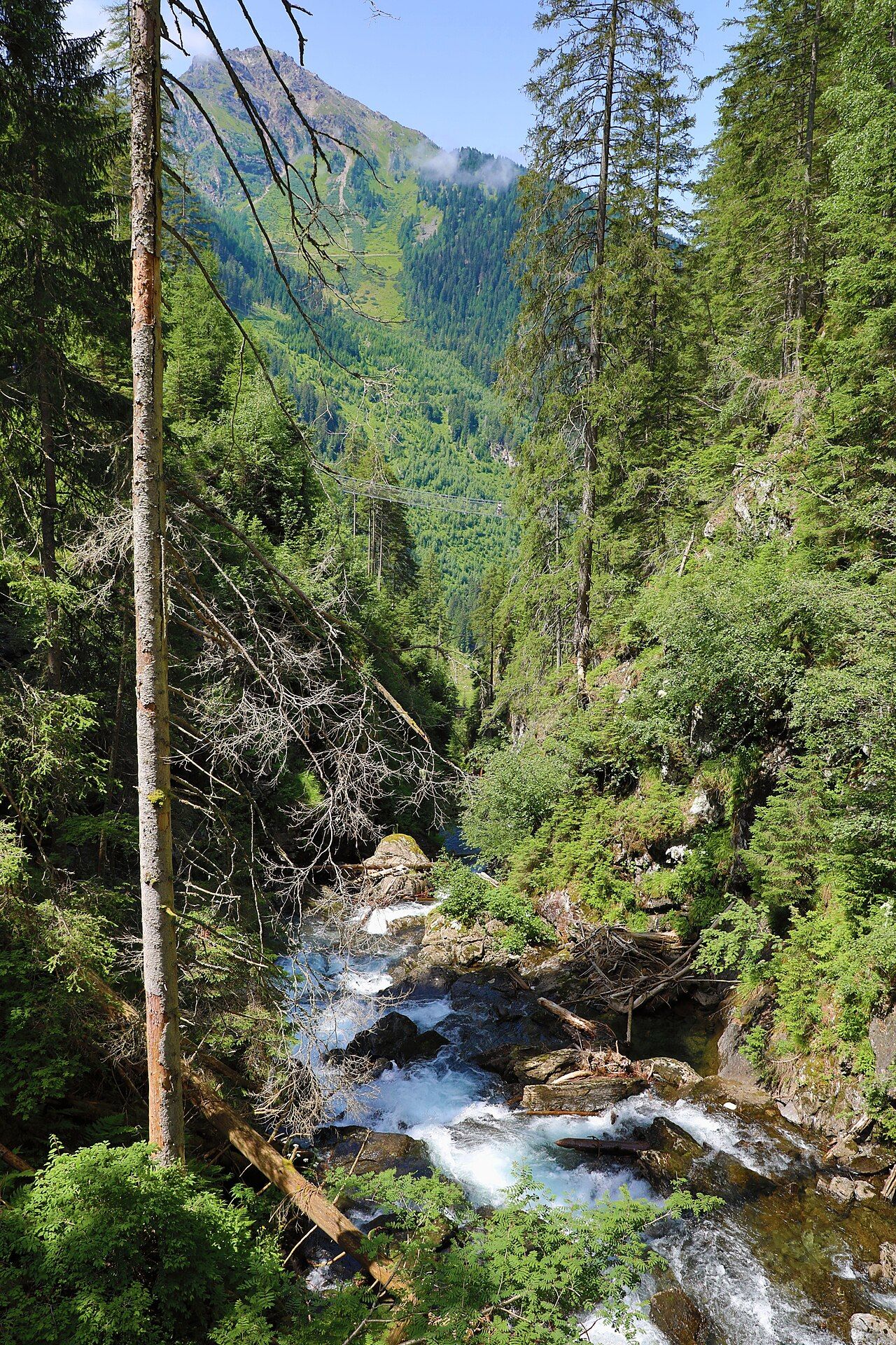Riesachfälle – Bild 3