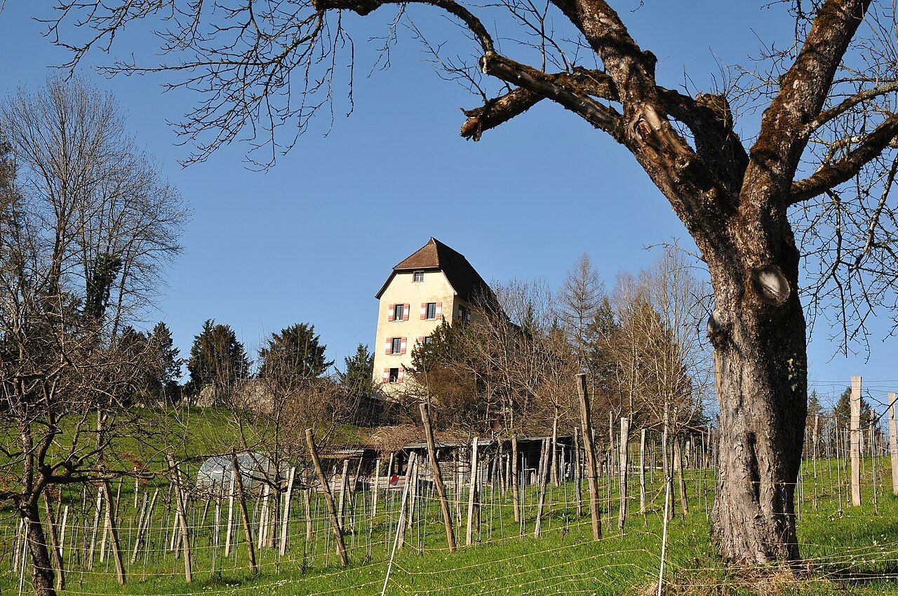 Schloss Amberg – Bild 3