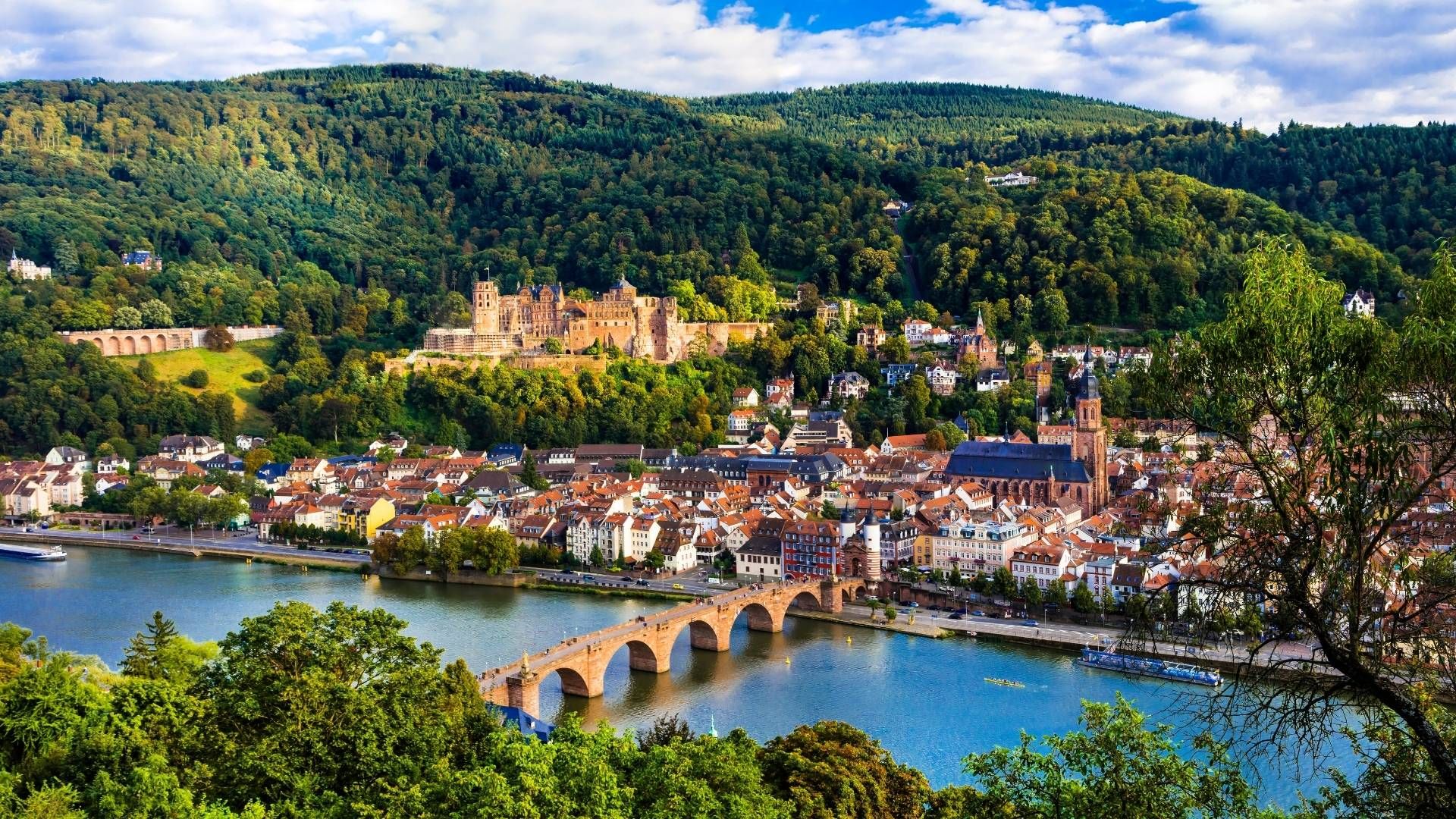 Schloss Heidelberg – Bild 2