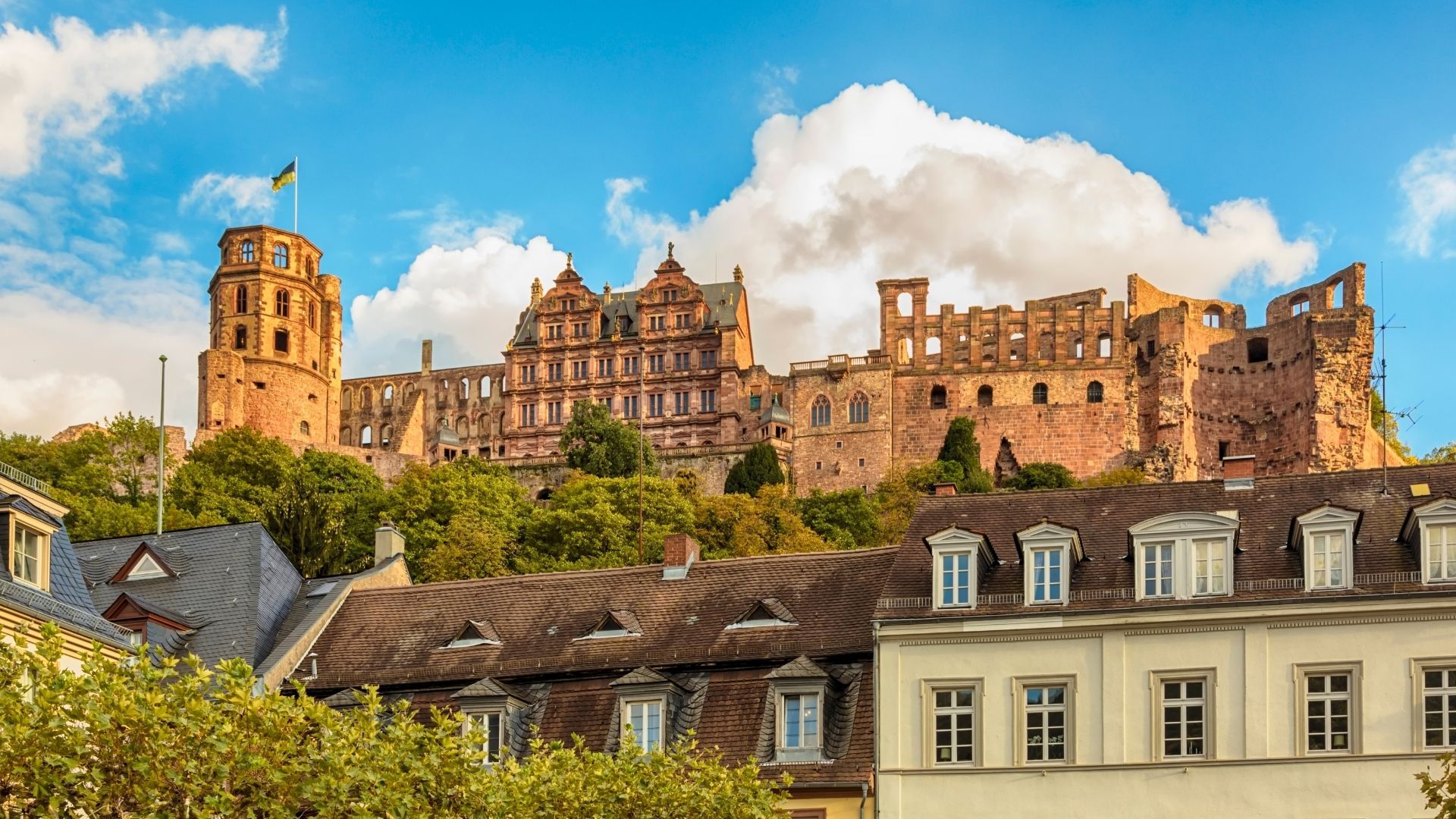Schloss Heidelberg – Bild 3