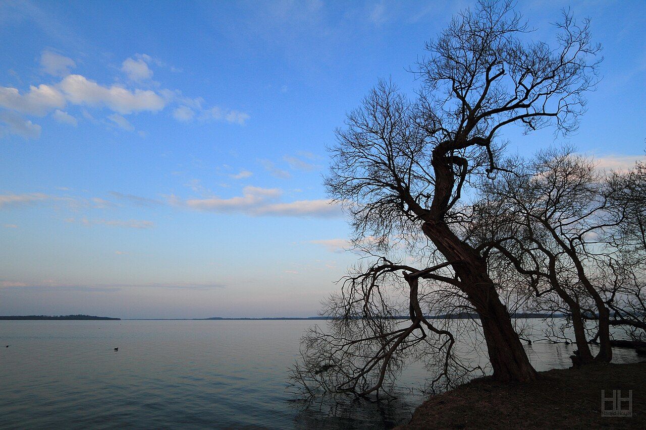 Schweriner See – Bild 3