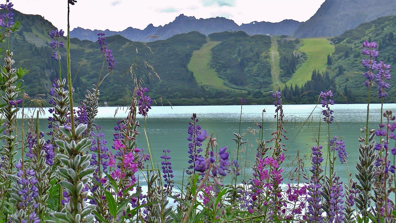 Stausee Kops – Bild 2