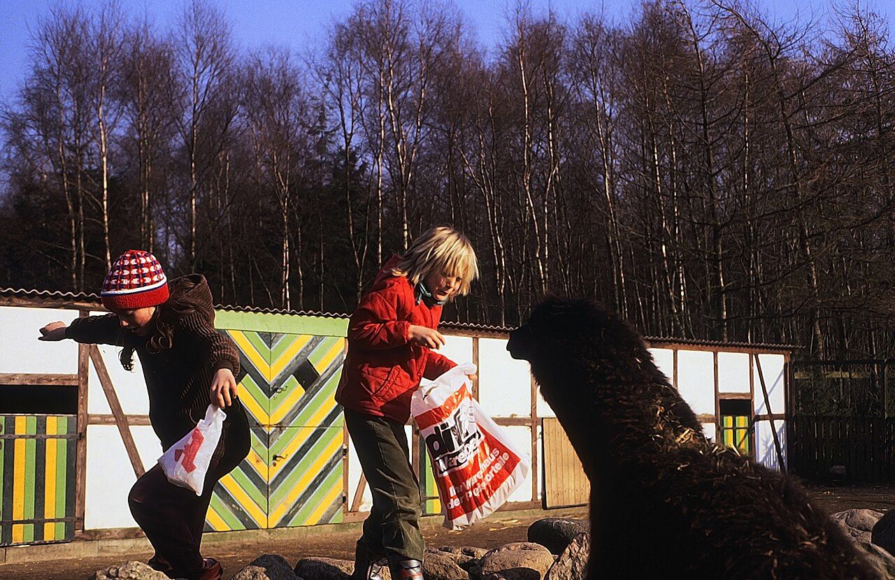 Tierpark Gettorf – Bild 3