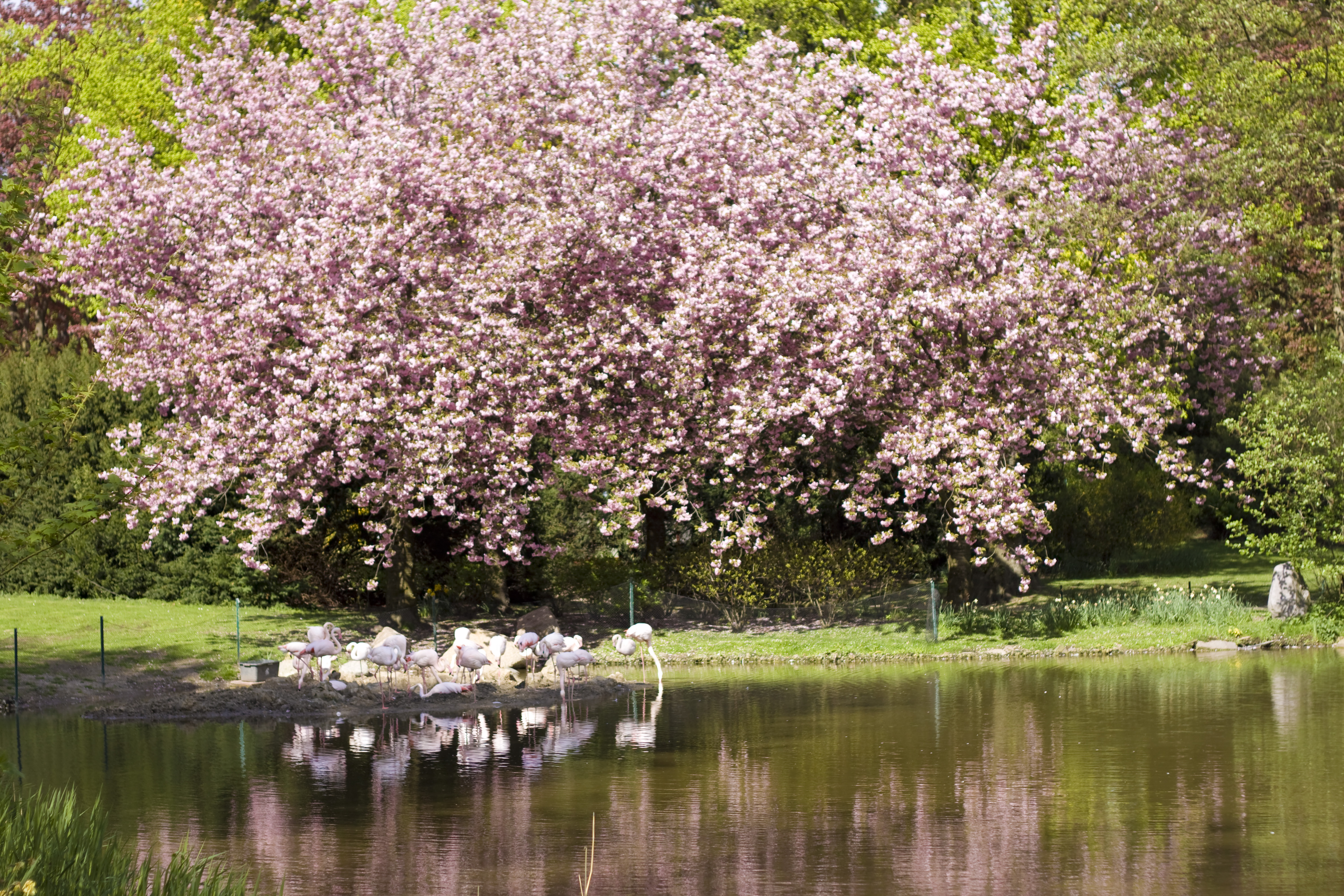 Tierpark Hagenbeck – Bild 3