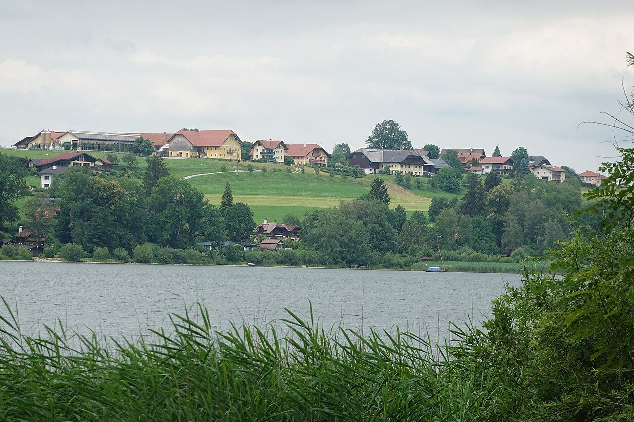 Wallersee – Bild 2