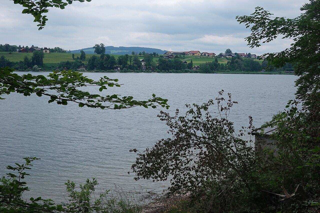 Wallersee – Bild 3
