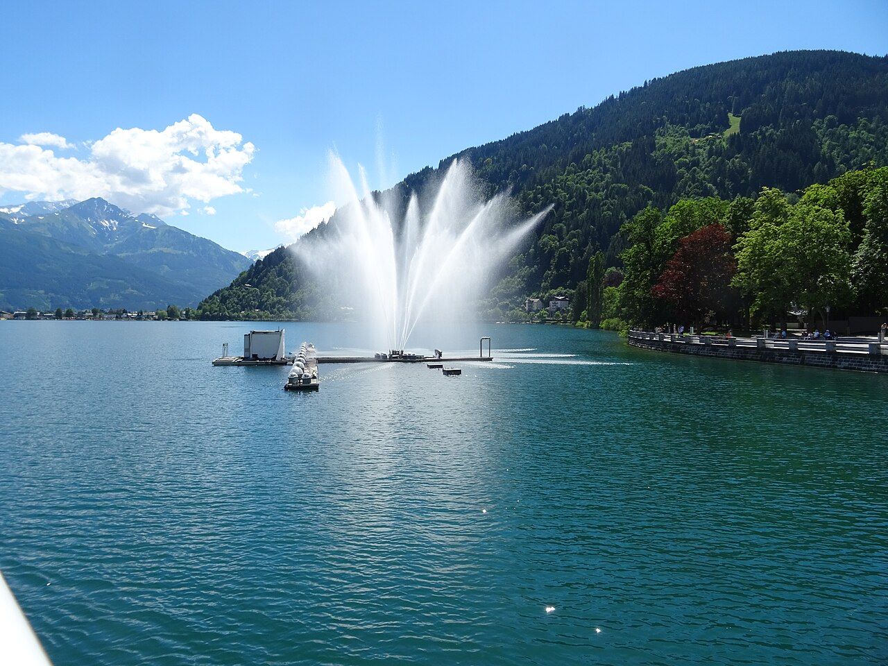 Zeller See – Bild 3
